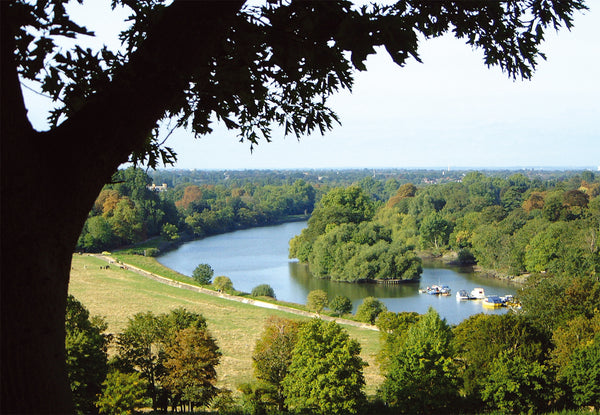 View from Richmond Hill - Colour