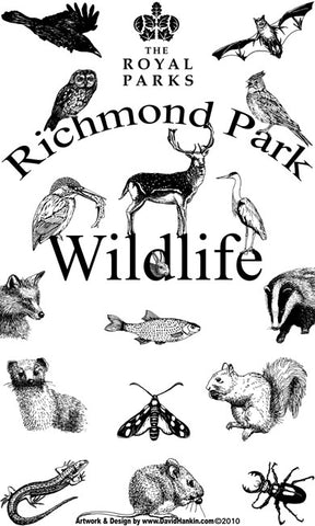 Richmond Park Wildlife Tea Towel