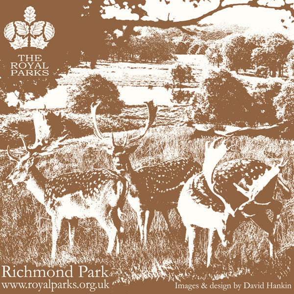 Richmond Park Carrier Bag